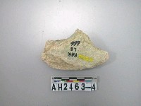 藏品(玉質環外廢料)的圖片